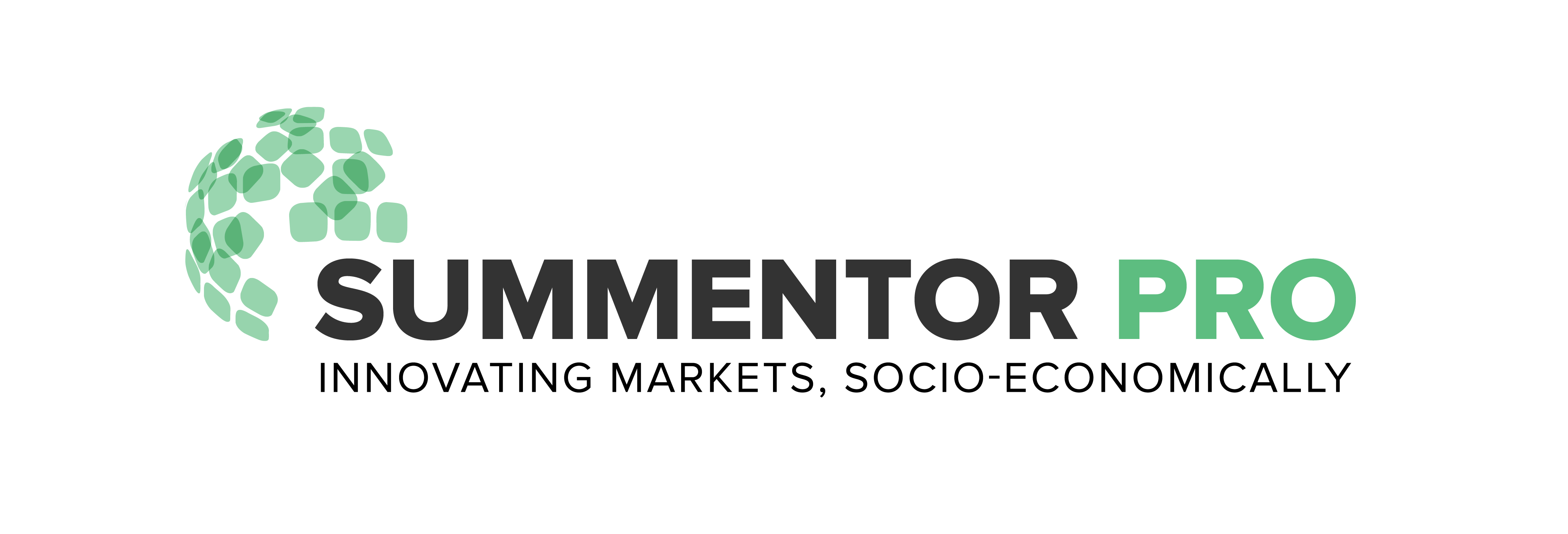 Summentor Pro